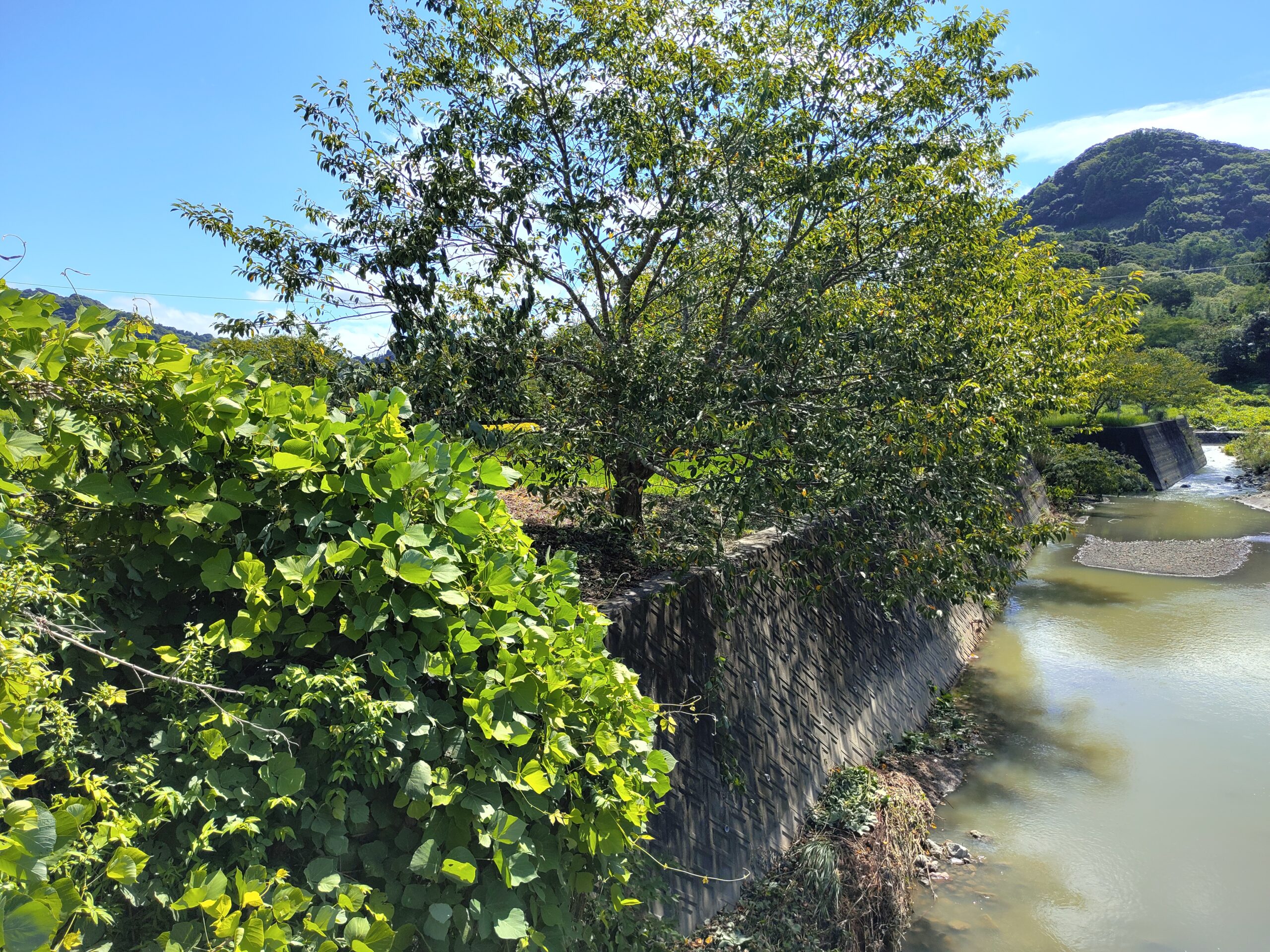 平久里中山間の土地