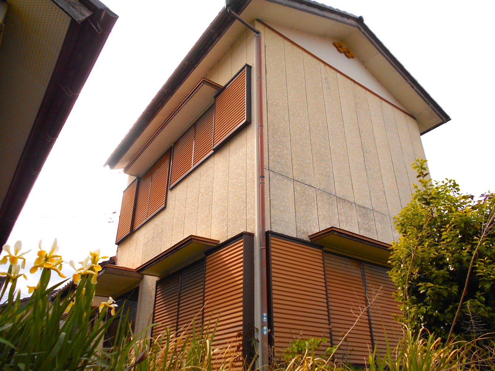 ブルーのキッチンが印象的♪ペットと一緒にゆったり４K二階建て♪