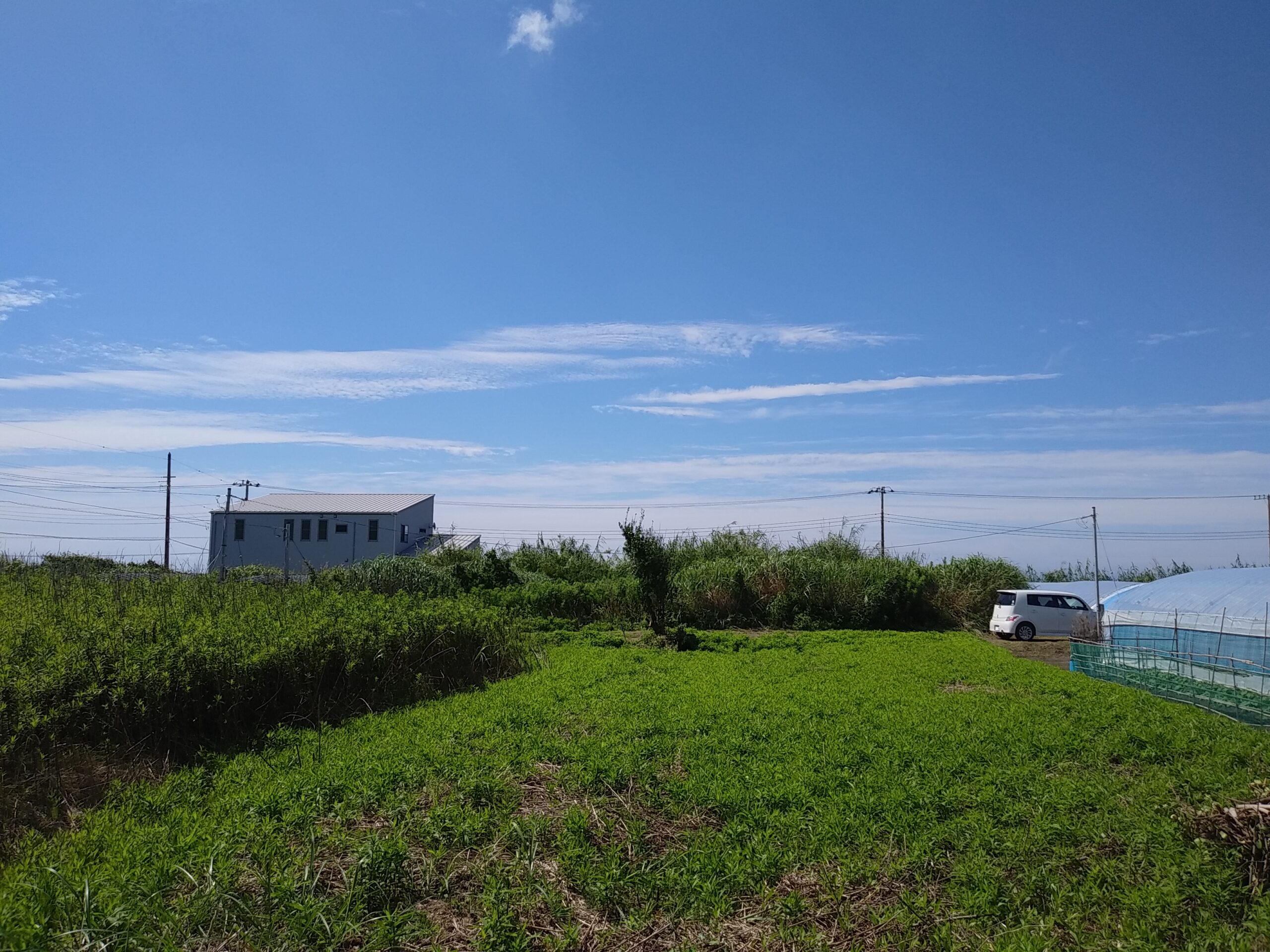 太平洋を望む土地。波音を聞きながら目覚め、夕陽を眺めながら海辺を散歩しませんか？