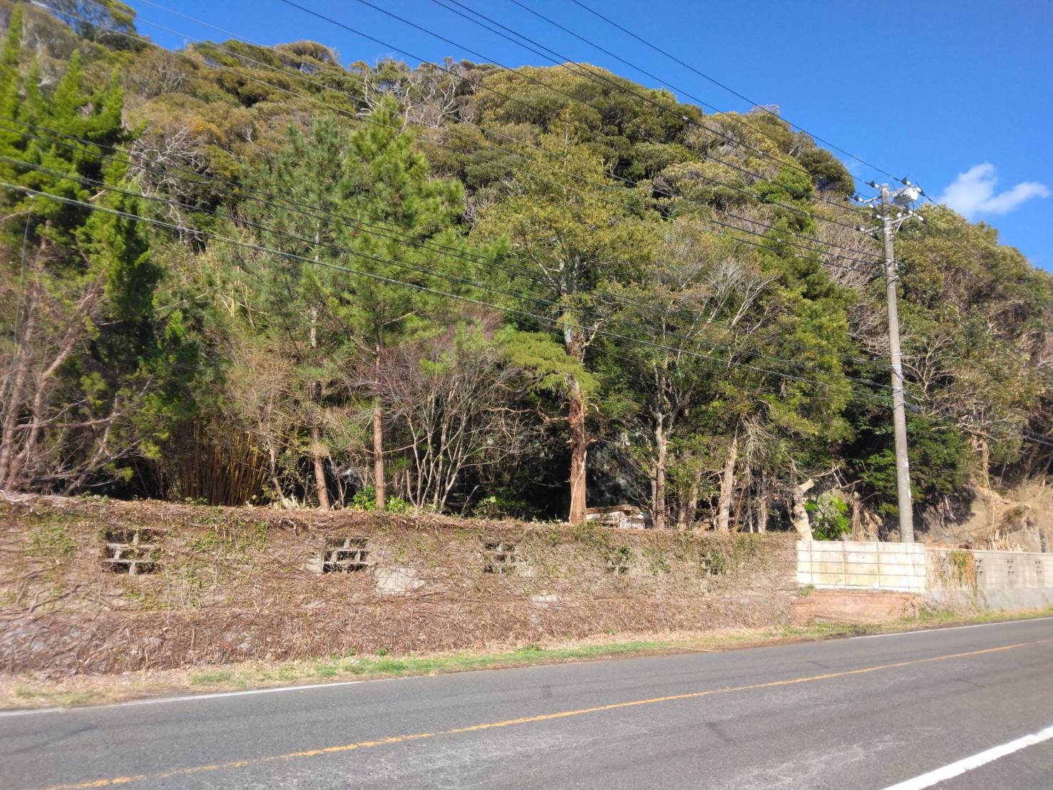 歴史を感じずにはいられない、古家付の土地3000㎡オーバー！どう使う？