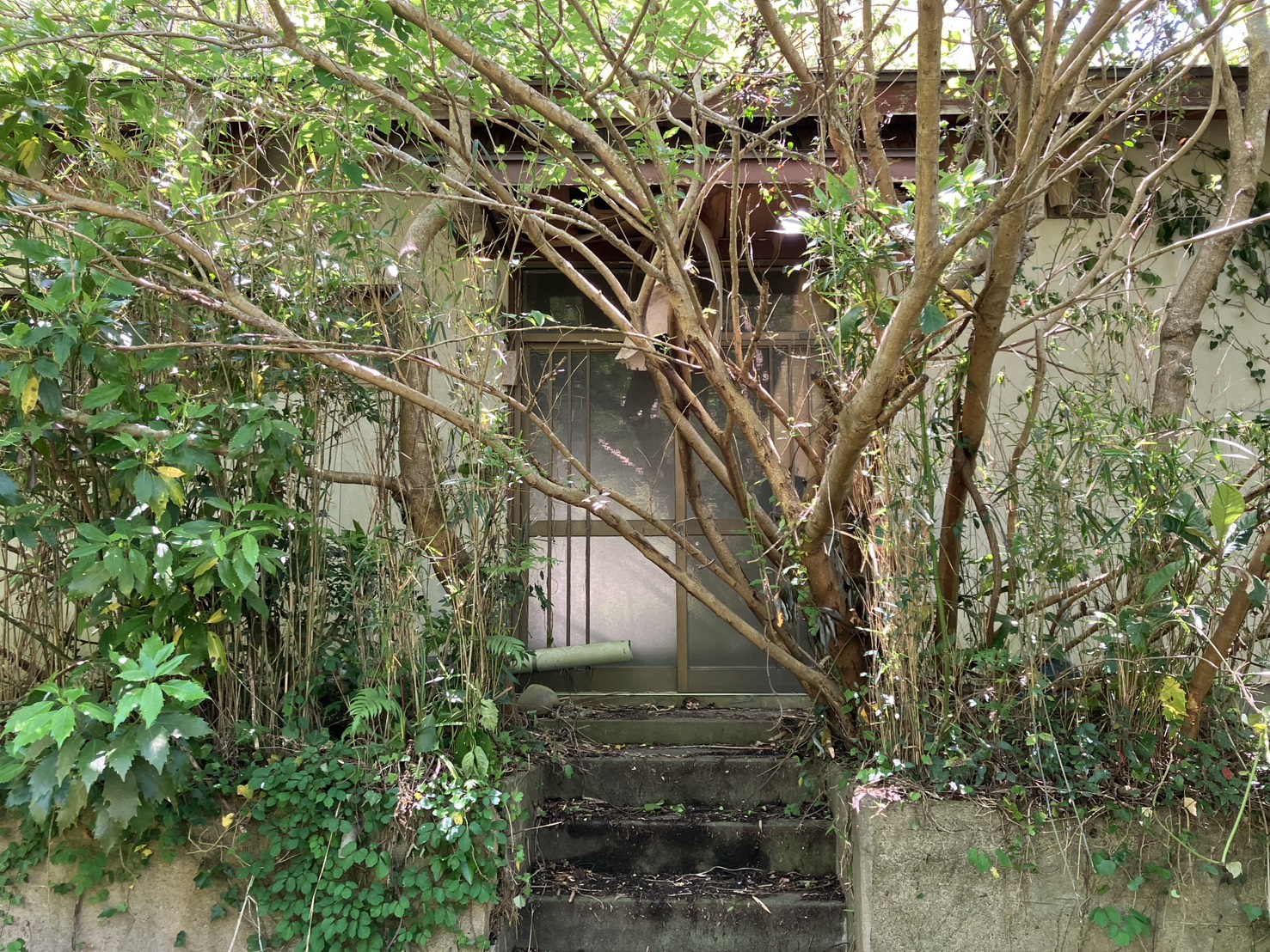 森の中で静かに時を
重ねてきた一戸建て。
30年の時を経て、
次の出会いを
待っています。