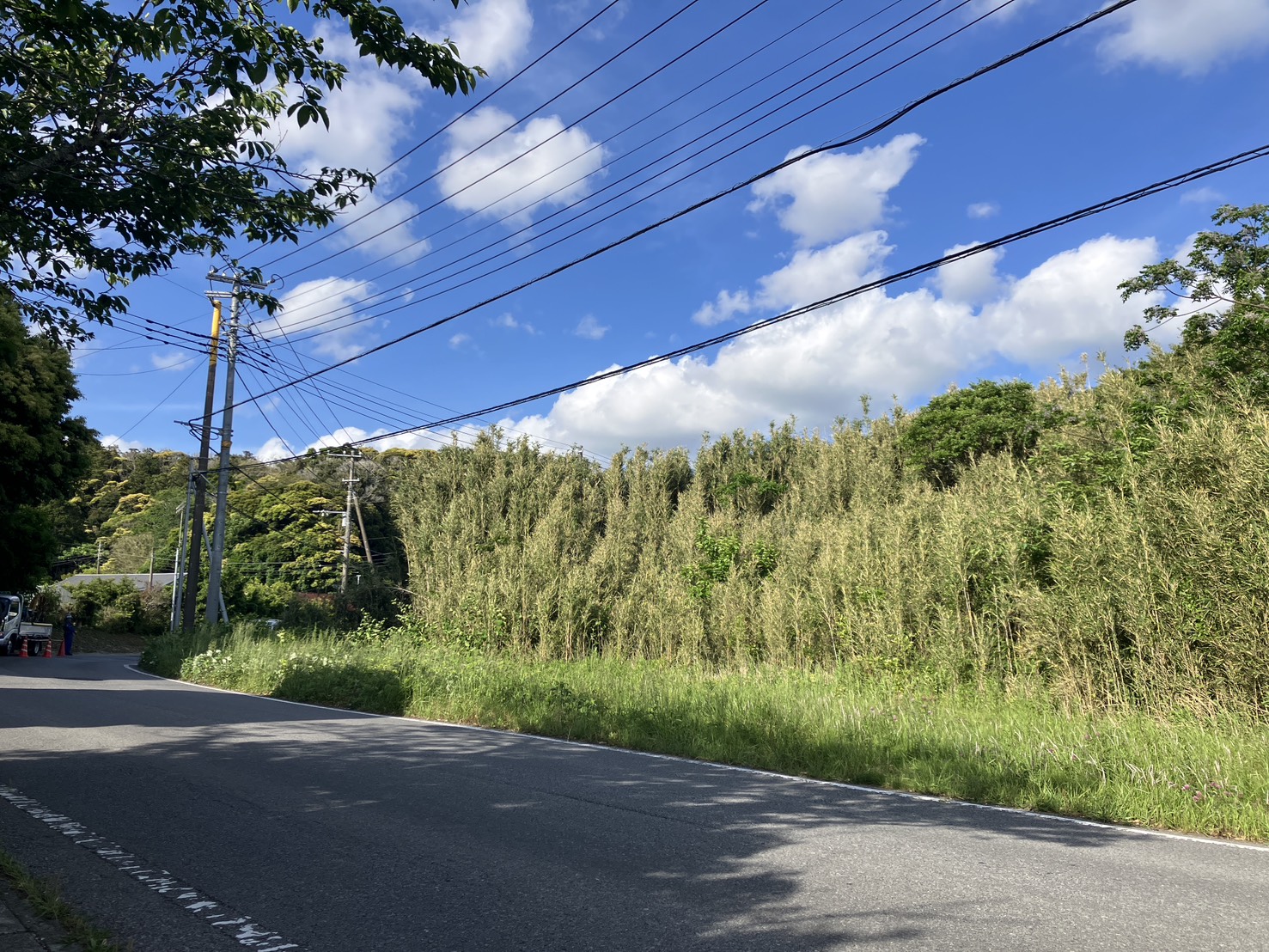 現況：竹やぶ。
切るか、活かすか。
県道沿い537㎡。
別荘、秘密基地、あなたなら、どうする？