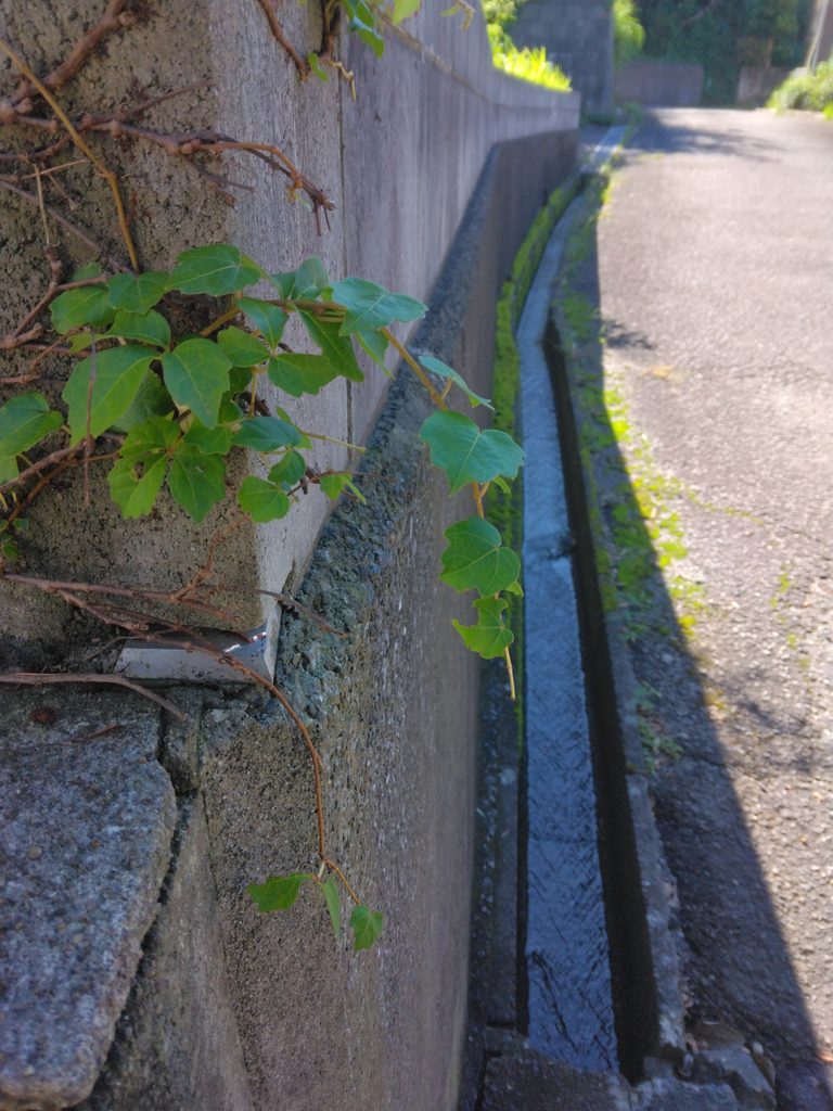 側溝